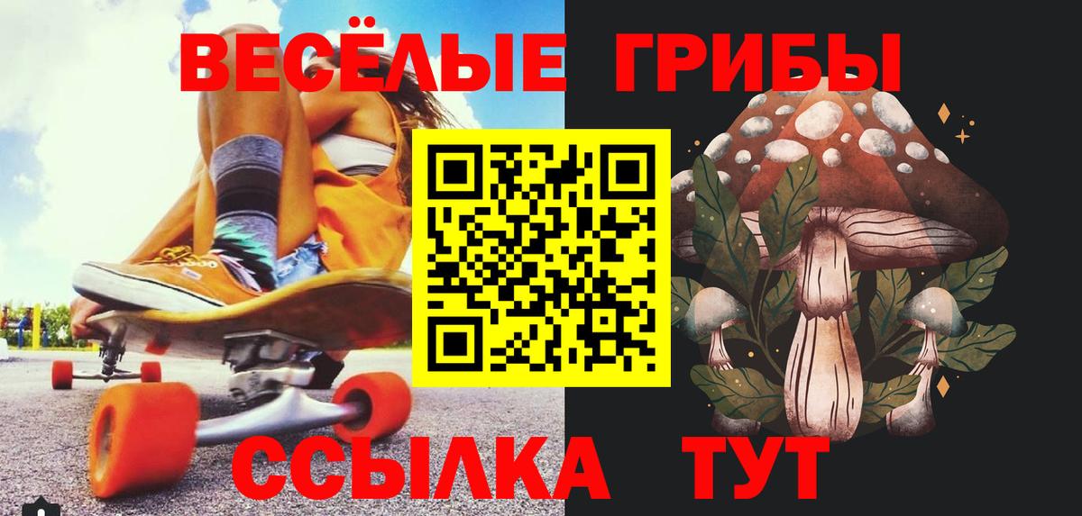 Псилоцибиновые грибы ЛСД  Псилоцибиновые грибы ЛСД  Вход с VPN  Кострома 